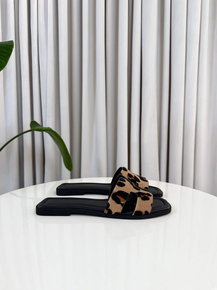 ARIS | Exclusive Limited Edition